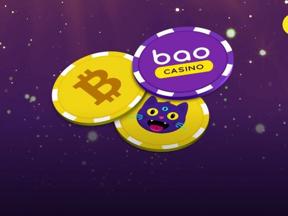 1xbet explained
